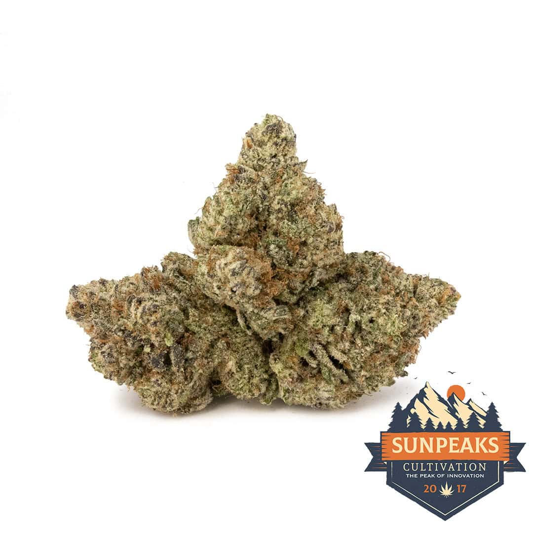 Sun Peaks Cultivation – Orange Snow Cone