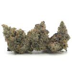 Sun Peaks Cultivation - Pink Gas