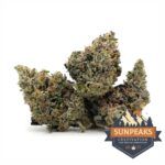 Sun Peaks Cultivation - Pink Gas