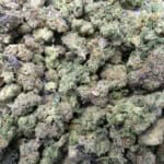 Sun Peaks Cultivation - Sherb Cream Pie - Popcorn