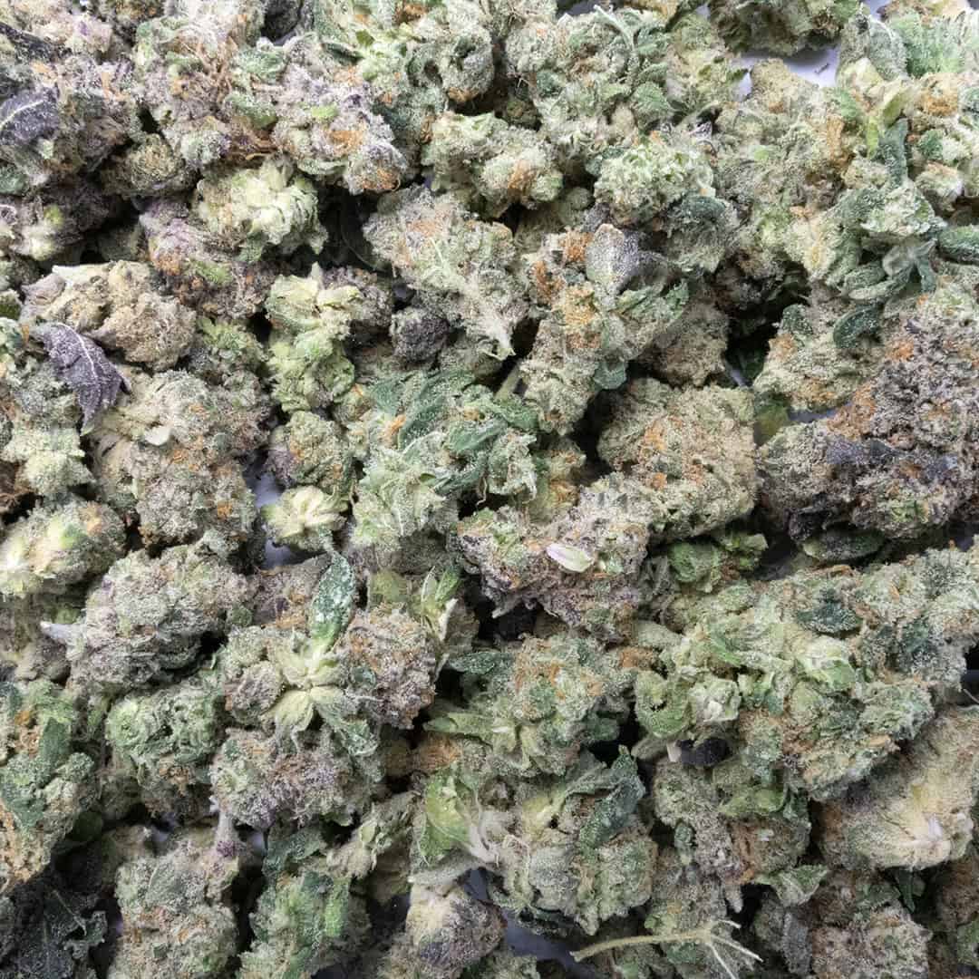 Sun Peaks Cultivation - Sherb Cream Pie - Popcorn