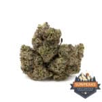 Sun Peaks Cultivation - Purple Punch