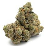 Sun Peaks Cultivation - Tahoe Alien