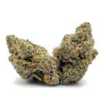 Sun Peaks Cultivation - Tahoe Alien