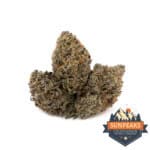 Sun Peaks Cultivation - White Death