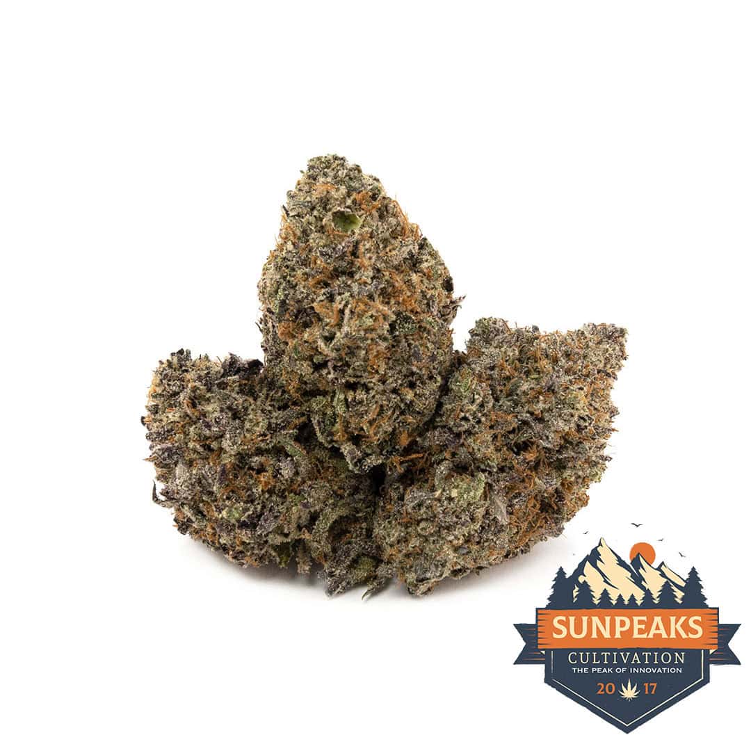 Sun Peaks Cultivation - White Death