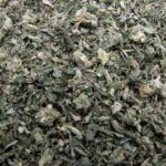 Thin Mint Cookies - Shake