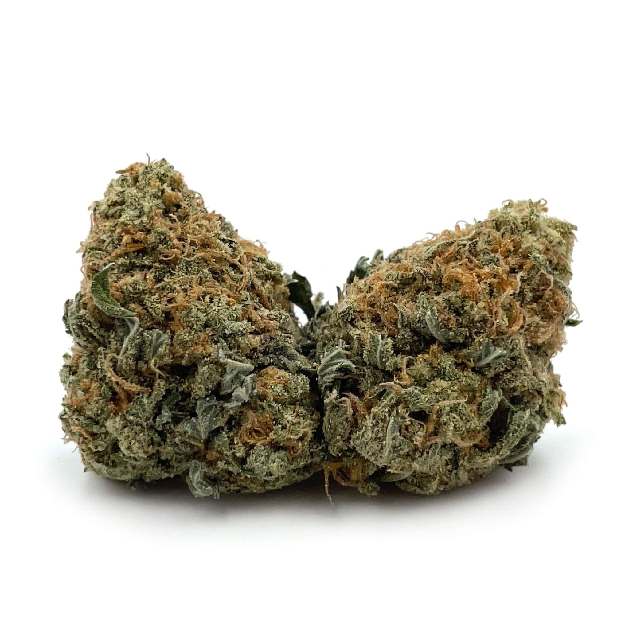 Gelato For /oz – May 23 Gelato For /oz – May 23