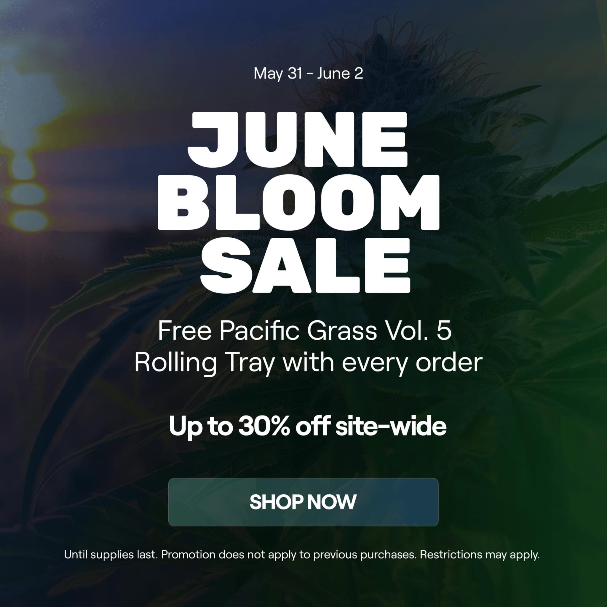 June Bloom Sale – May 31 – June 2