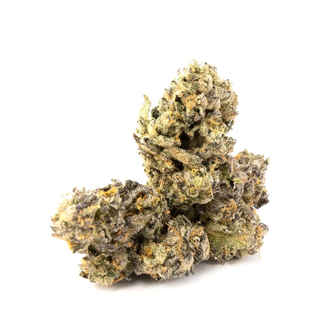 Enigma Extracts - El Chapo x Permanent Marker