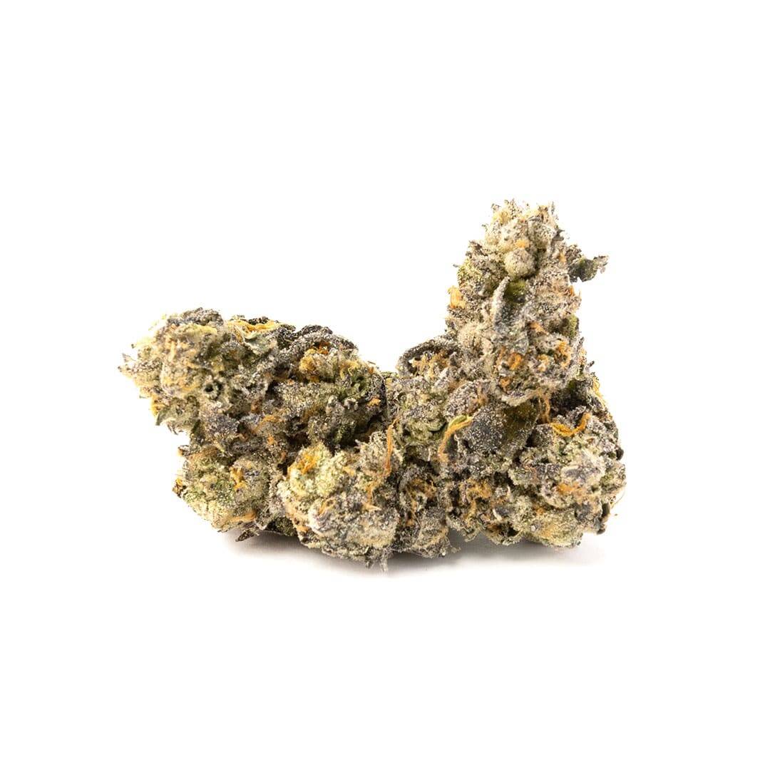 Enigma Extracts - El Chapo x Permanent Marker