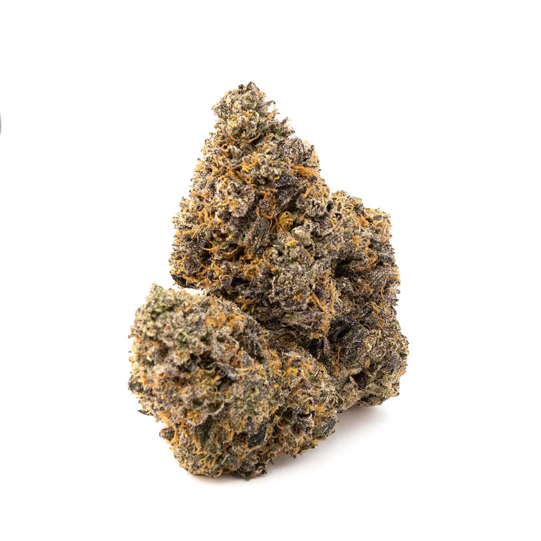 Enigma Extracts - Milk Bubbles