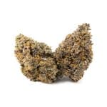 Enigma Extracts - Milk Bubbles