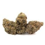 Enigma Extracts - Milk Bubbles