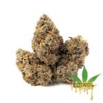 Enigma Extracts - Milk Bubbles