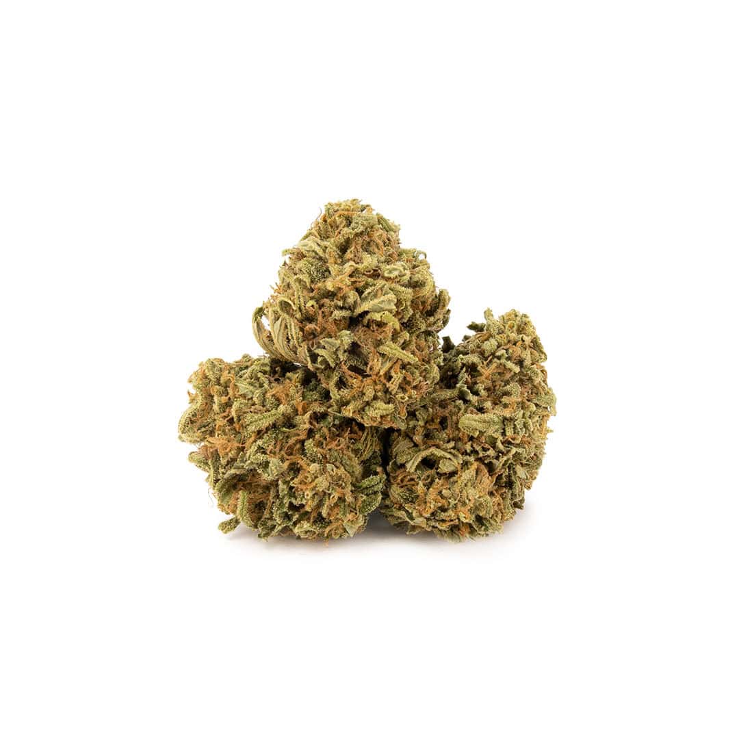 Green House - Super Mario