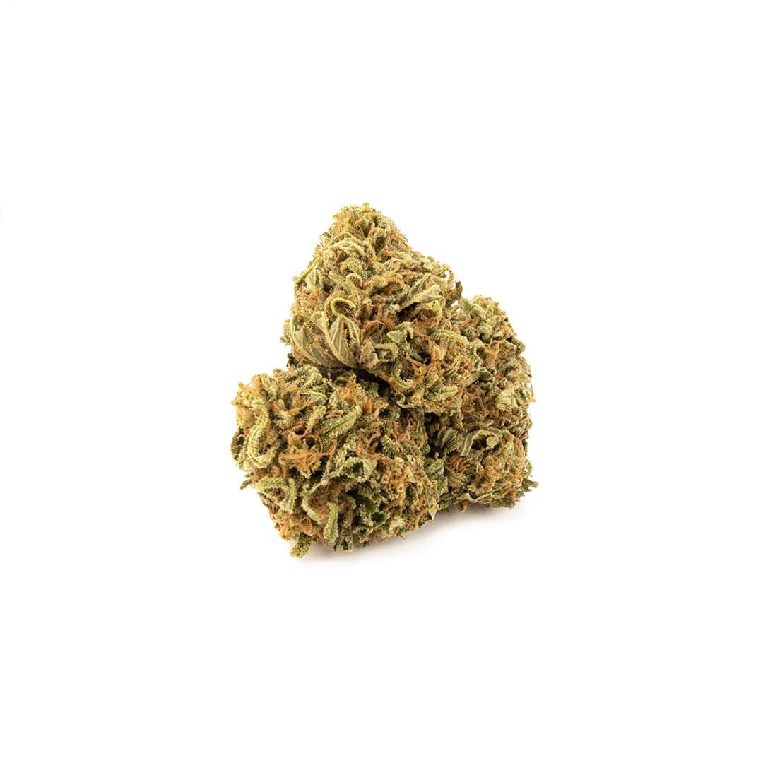 Green House - Super Mario