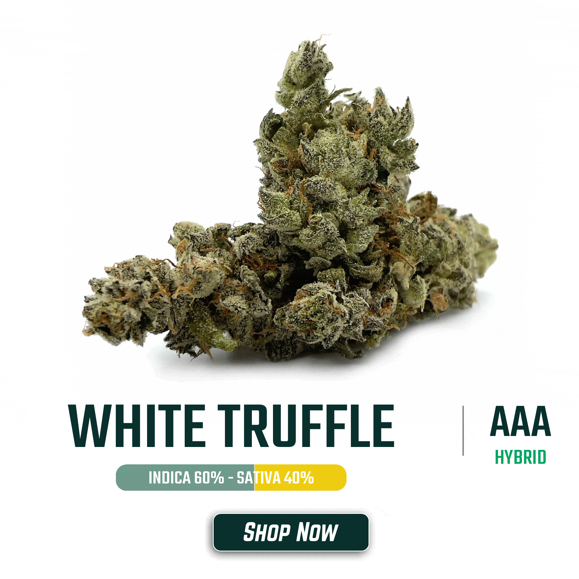 Latest Flower Drops – January 11