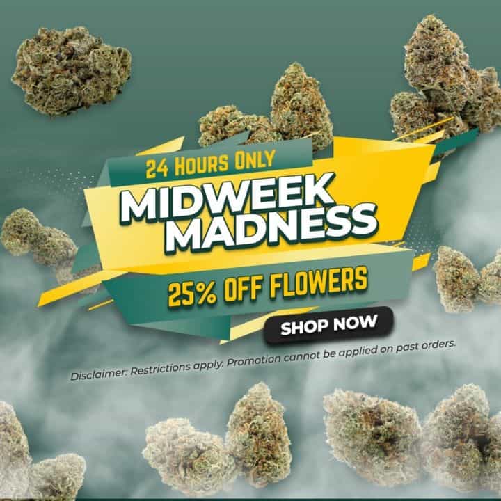 Midweek Madness – February 28