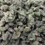 Grapefruit - Popcorn