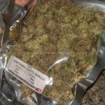 Northern Lights - Smalls