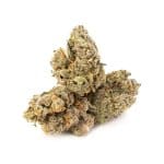 Sun Peaks Cultivation - Lochness Monster