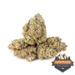 Sun Peaks Cultivation - Lochness Monster