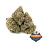 Sun Peaks Cultivation - Red Velvet