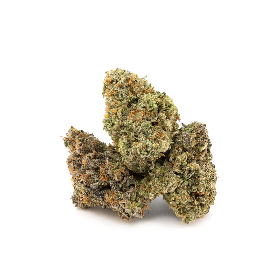 Sun Peaks Cultivation - Red Velvet