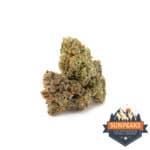 Sun Peaks Cultivation - Red Velvet