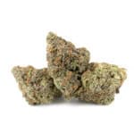 Sun Peaks Cultivation - Red Velvet