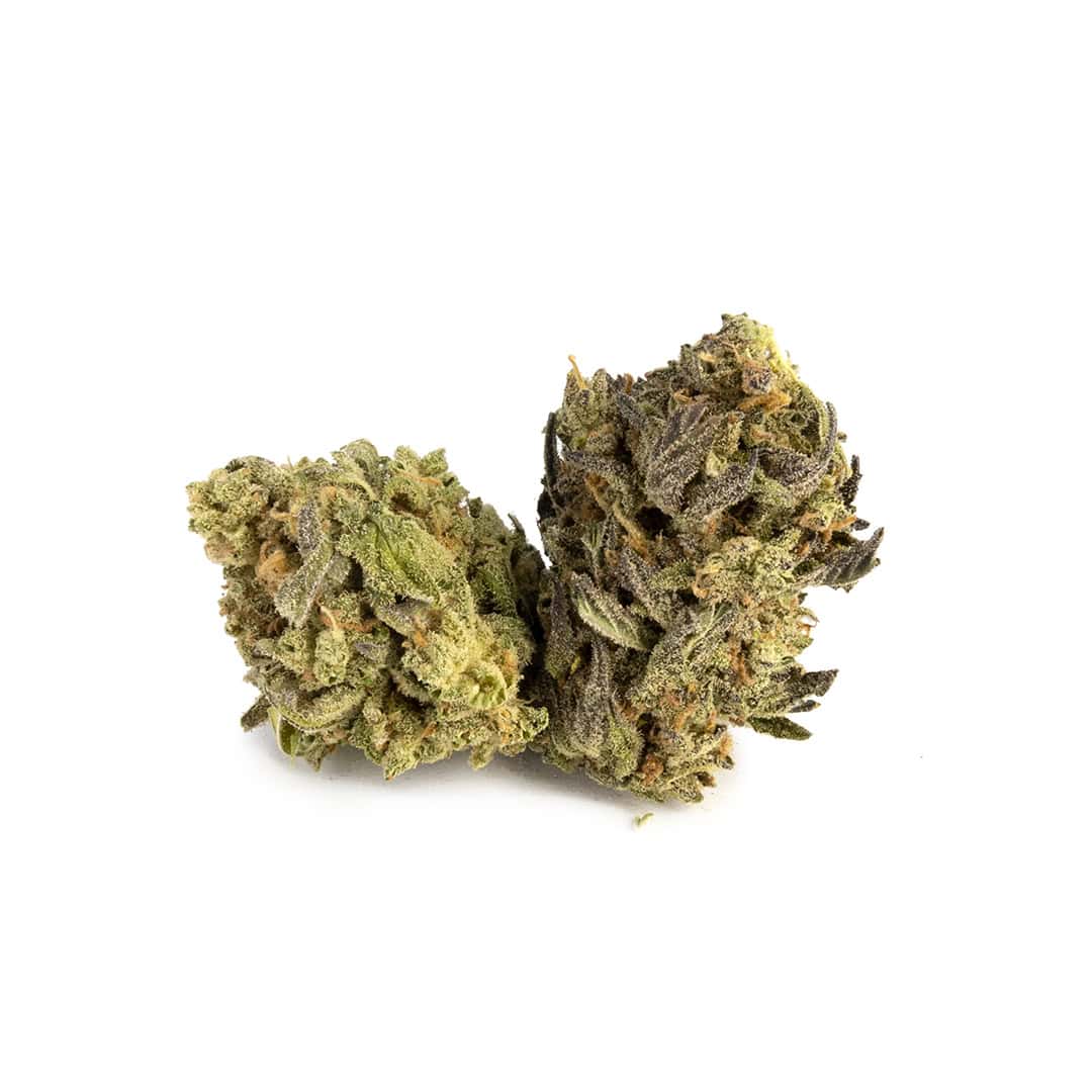 Green House - Sunset Haze