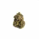 Green House - Sunset Haze