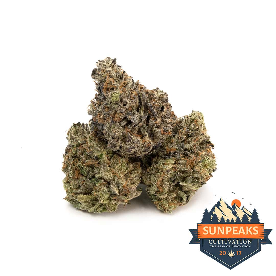 Sun Peaks Cultivation - Black Gas - LSO