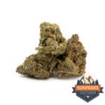 Sun Peaks Cultivation - Rip City Purps