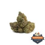 Sun Peaks Cultivation - Lindsay OG