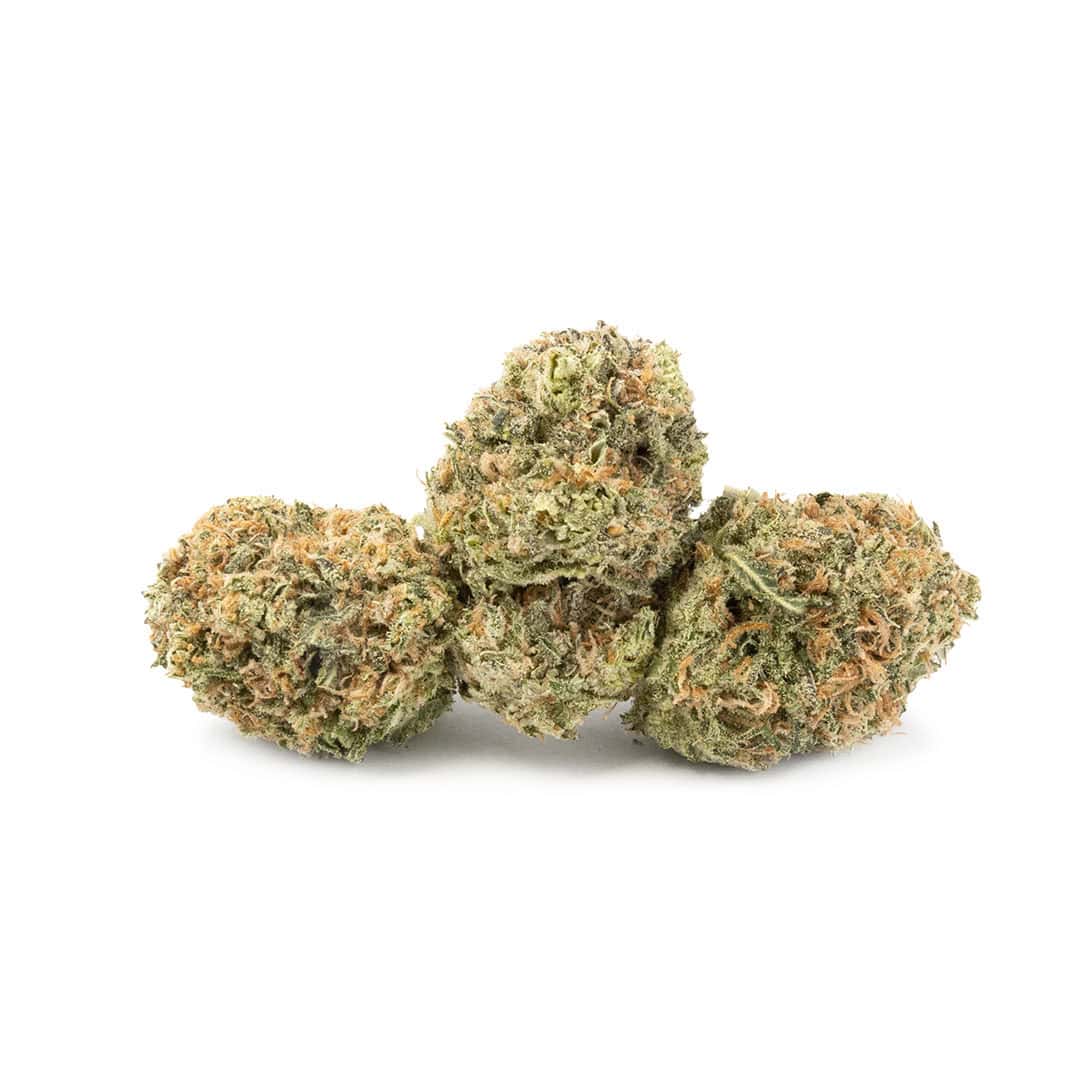Buy Tangie Haze Online | Pacific Grass