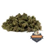 Sun Peaks Cultivation - Citrus Punch - Popcorn