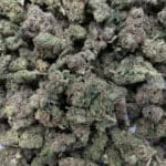 Sun Peaks Cultivation - Citrus Punch - Popcorn