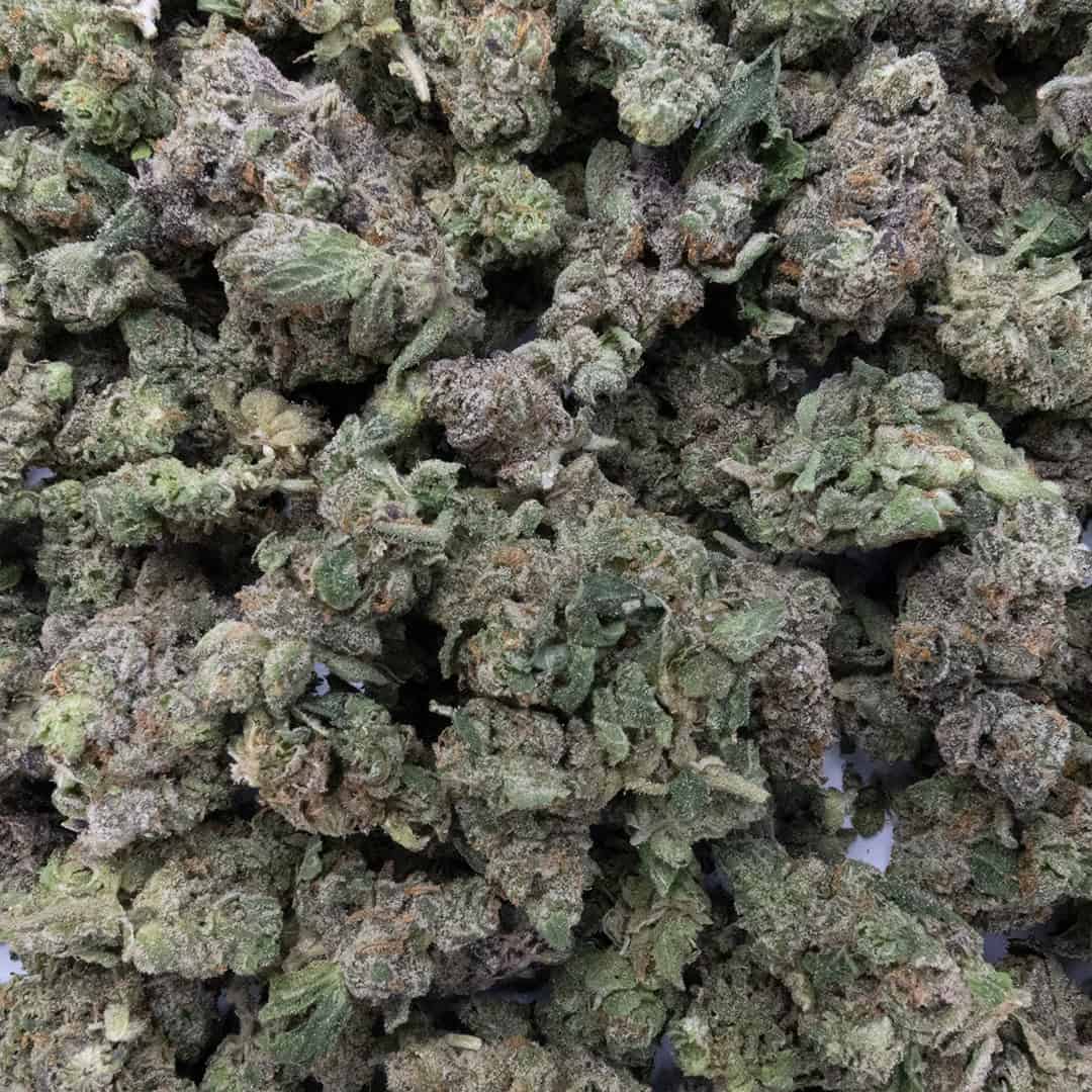 Sun Peaks Cultivation - Citrus Punch - Popcorn