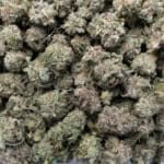 Purple Milk - Smalls