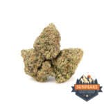 Sun Peaks Cultivation - Wedding Cake